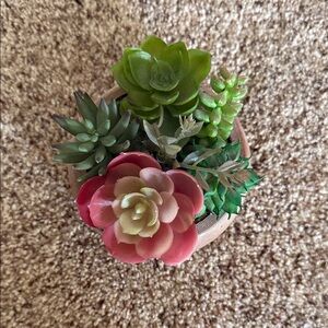 Artificial Succulent Arrangement in Tan Pot